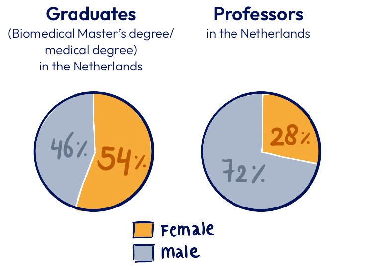 Mentorship programme 2